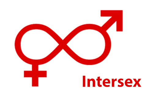 hermafrodit interseks